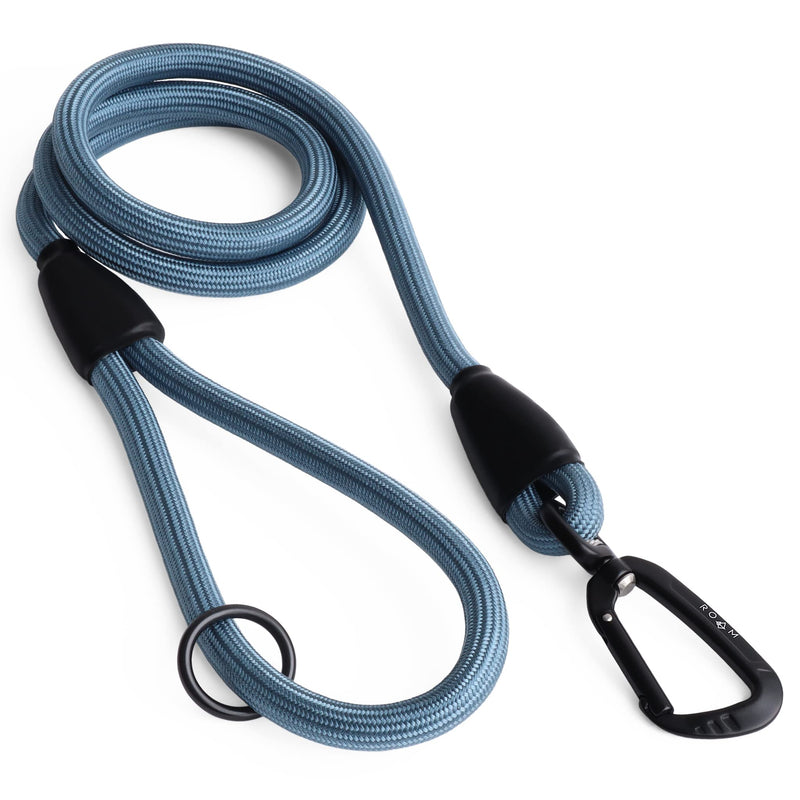 Premium Everyday Leash - Ultra Soft Dog Leash with Aviation Aluminum Carabiner for Small, Medium, Large Dogs - California Horizon, 6ft (Rubber Coated Metal Clamps) 6 Feet, Rubber Coated Metal Clamps - PawsPlanet Australia