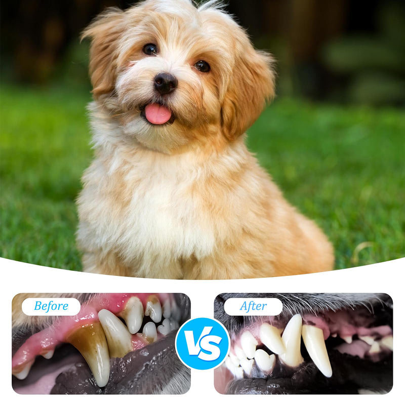 Dog Toothbrush,8 Pieces Pet Toothbrushes,2 Three Sided Pets Toothbrush,6 Double Head Tooth Brush,Multi-Angle Dental Cleaning Brushes for Dogs,for Clean Pet Cats Teeth