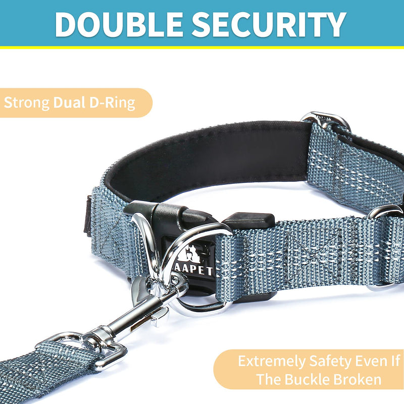 BAAPET Comfortable Dog Collar with Double Security Dual D-Ring and ID Tag Hanger for Small Puppy, Medium and Large Dogs (XS - 3/4" x (9"-13"), Grey) XS - 3/4" x (9"-13") - PawsPlanet Australia