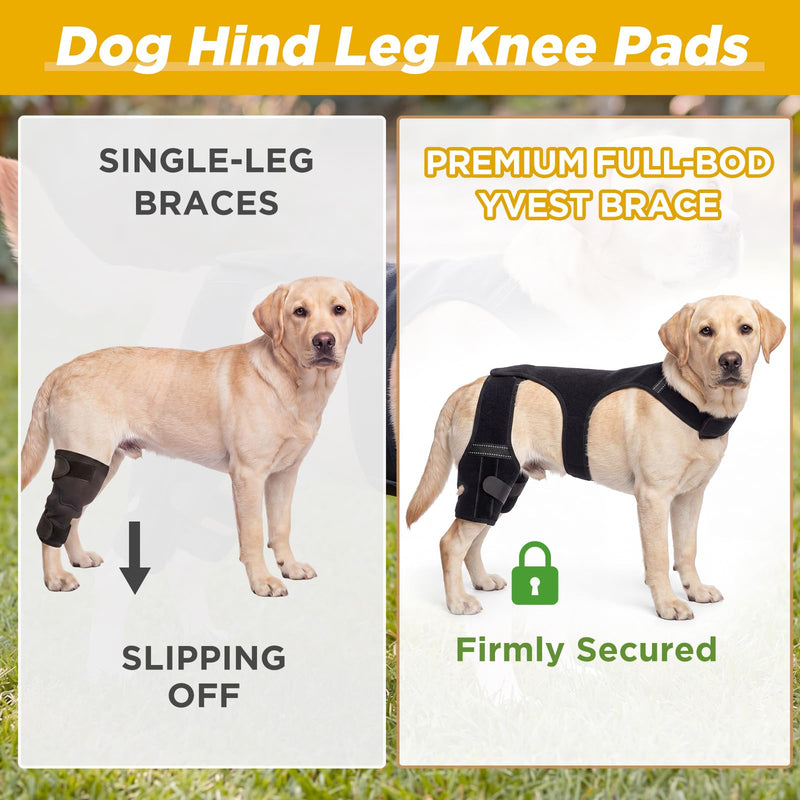 Aliceset Dog Hind Leg Knee Pads, Torn Acl Hind Leg Breathable and Adjustable Support Sleeves, Fit Snugly and Securely, Providing Secure Comfortable Support, Suitable for Everyday Wear(L) L