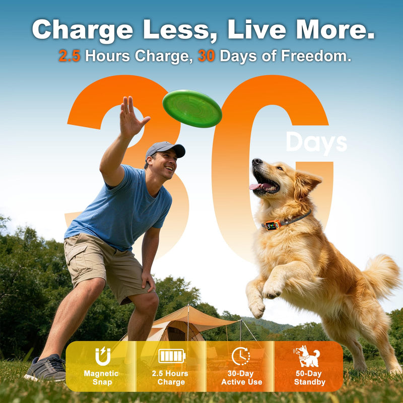 Bark Collar AI Dual-Detection, Instant Quiet Anti Bark Device 4 Training Modes, 30-Day Battery, One-Click Peace, 9-Level Sensitivity Automatic Dog Bark Collar for Large Medium Small Dogs,Orange Orange - PawsPlanet Australia
