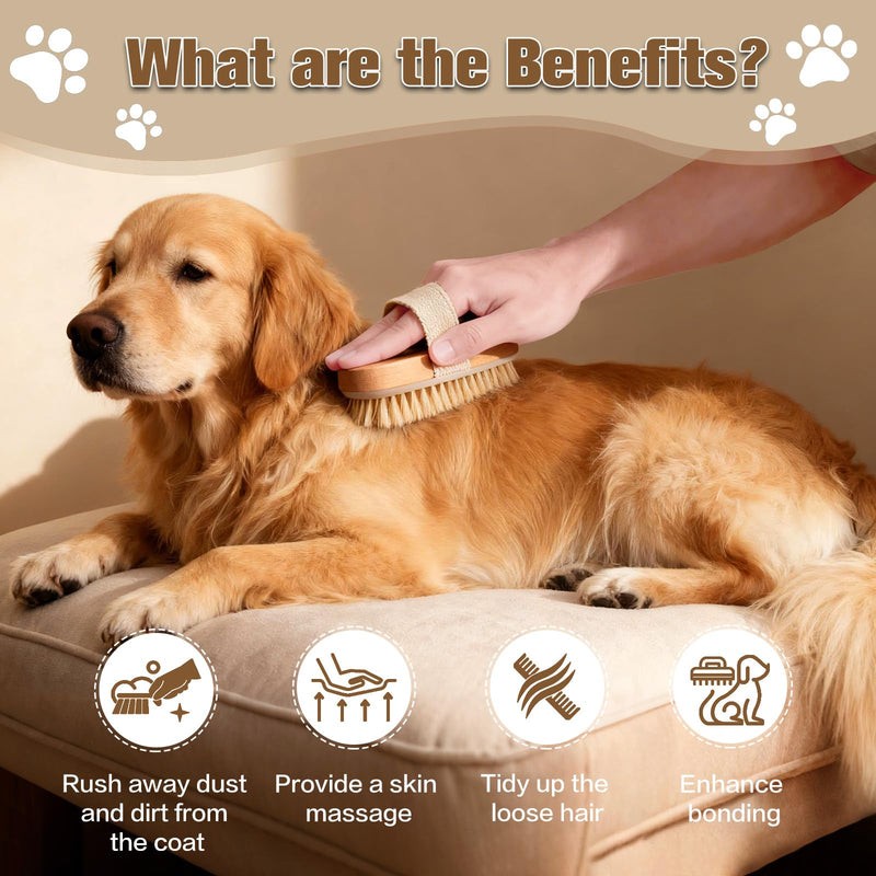 Soft Pet Palm Brush for Dog & Cat, Dog Palm Shampoo Brush for Grooming & Cleaning, Handle Brushes for Short & Long Haired Cat, Natural Pet Fur Care Oil for Reducing Shedding, Shining Coat - PawsPlanet Australia
