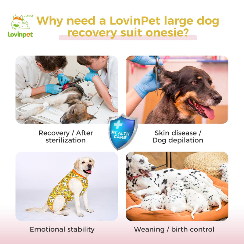 LovinPet Dog Recovery Suit - Medium Large Dog's Bodysuit Wound Protective Surgical Recovery Snugly Suit for Abdominal Wounds After Surgery,Duck,Yellow,XL XL Orange collar/Yellow - PawsPlanet Australia