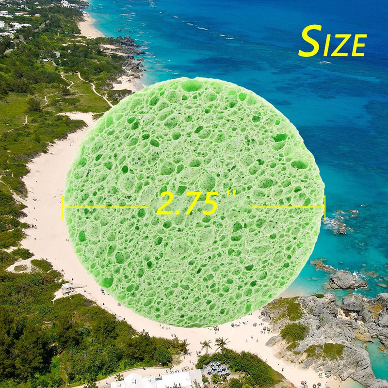 kcrygogo Hermit Crab Green Sponge Hermit Crab Accessories for Maintaining Hermit Crab Tank Humidity Supplies(10pcs) - PawsPlanet Australia