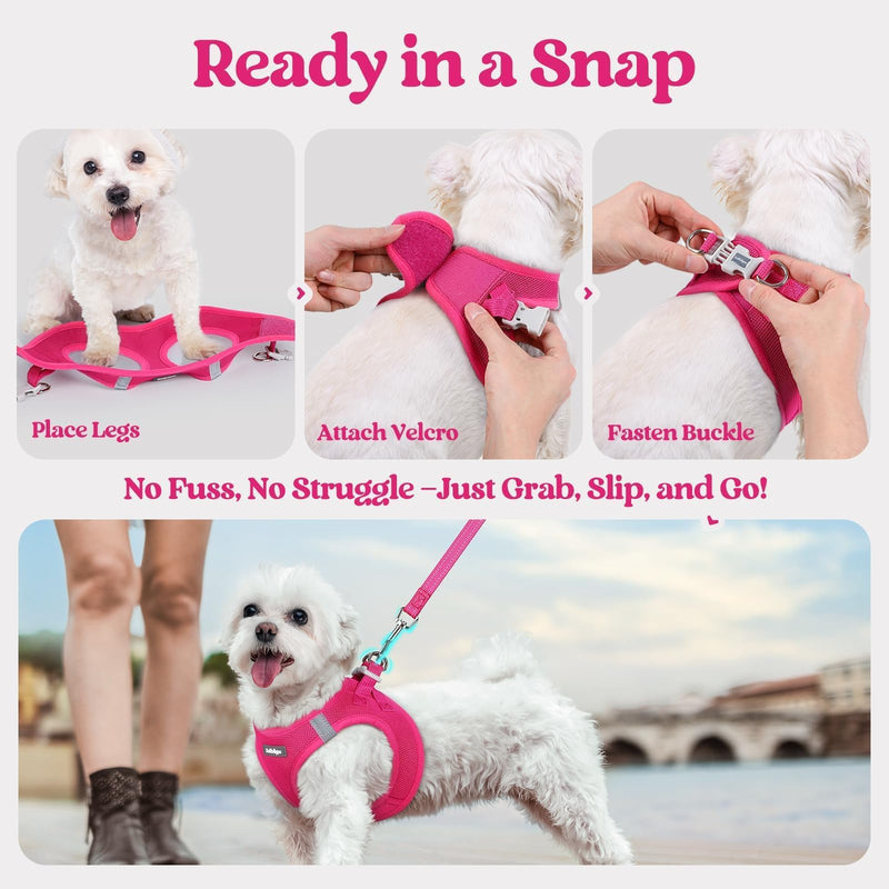 rabbitgoo Dog Harness Small Sized and Leash Set, Step in Soft Light Puppy Vest, Breathable Mesh Pet Harness, Reflective for Safe Easy Walking, Rose Red S S (Chest: 15.1 - 16.5") - PawsPlanet Australia