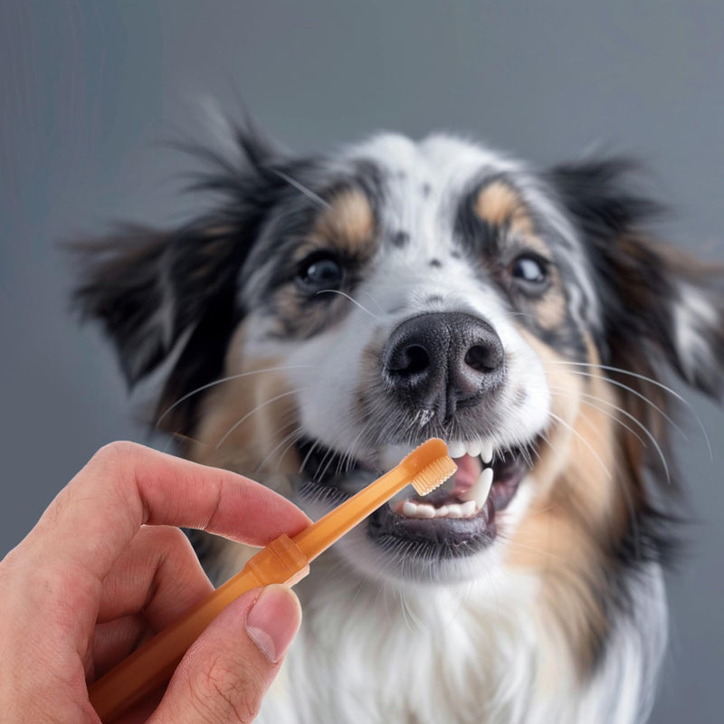 1Set Silicone Toothbrush for Cats and Dogs Double-Headed Pet Toothbrush Kit Soft Material for Gentle Cleaning for Small Dogs and Puppies Promotes Oral Health