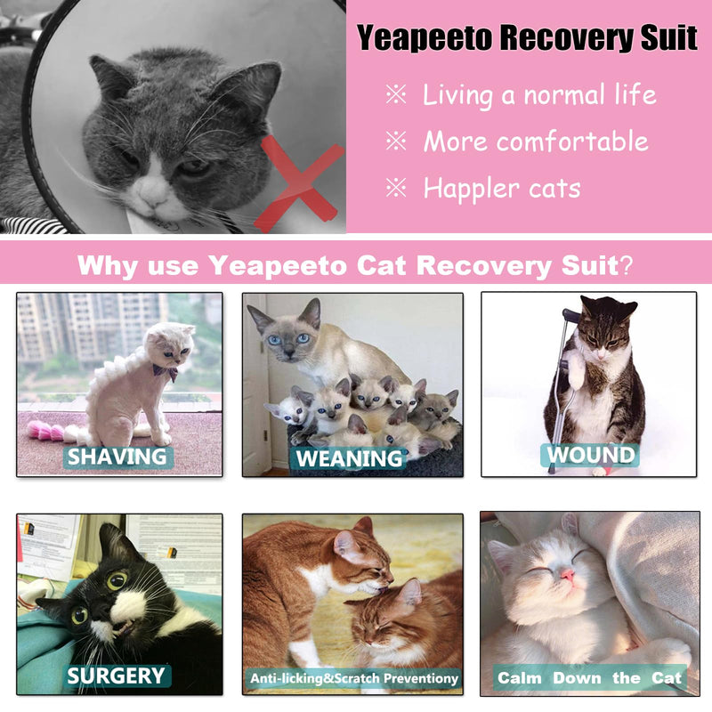 Yeapeeto Cat Recovery Suit 2 Packs After Surgery Bodysuit for Cats, E-Collar Substitute Keep from Licking Abdominal Wounds, Kitten Breathable Clothes, Warm After Shaving (Small) Small Rinbow+Fruit - PawsPlanet Australia