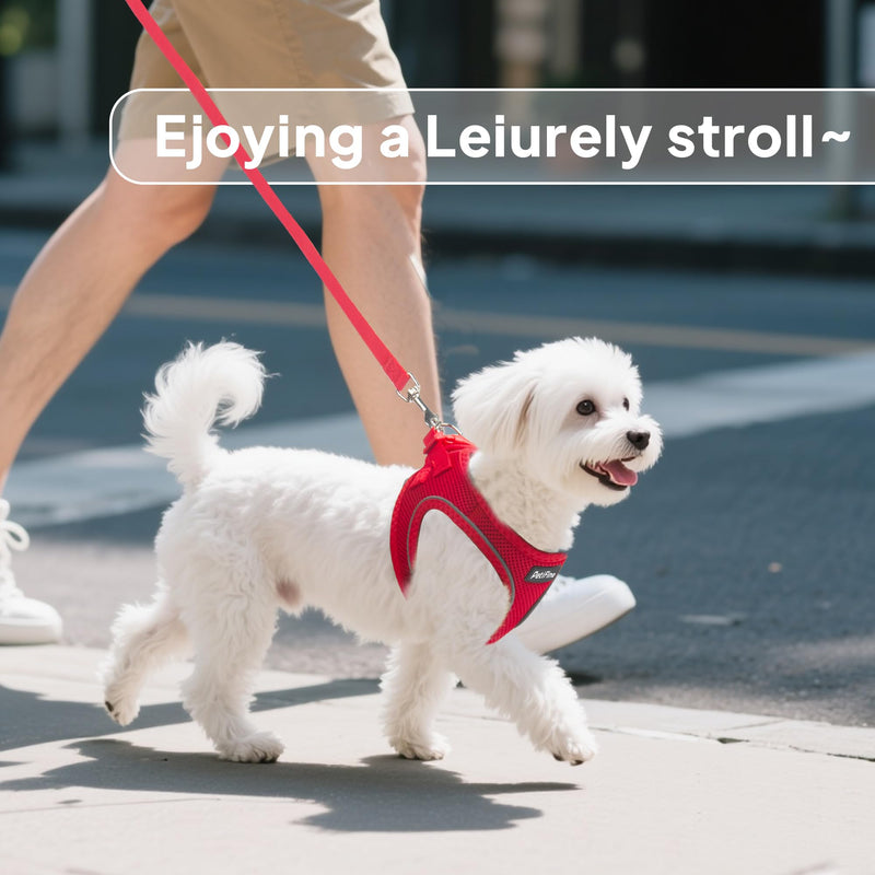 PetiFine Step in Small Dog Harness and Leash Set, Breathable All Weather Air Mesh Reflective Escape Proof, Step-in Vest Harnesses for Puppy(S, Red) S | Neck: 12.6''-13.8'' Chest:16.1''-17.7'' | - PawsPlanet Australia