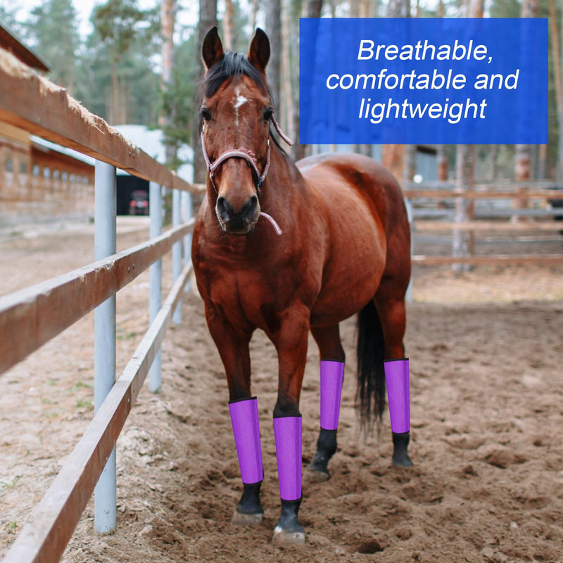 8 Pcs Mesh Fly Boots for Horse Breathable Mesh Horse Boots Protective Horse Leg Wraps Horse Leggings for Preventing Flies and Mosquitoes Bites (Light Pink, Dark Pink) Dark Purple, Light Purple - PawsPlanet Australia