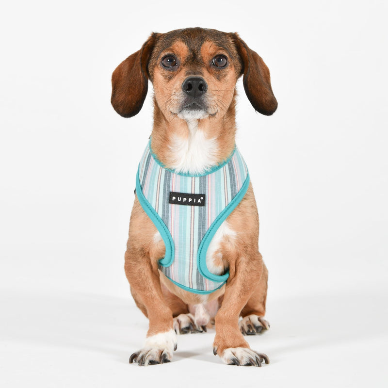 Puppia Theros Dog Harness A (Over-The-Head) Fashionable Striped Pattern Spring Summer Harness for Small and Medium Dogs, Aqua, Medium AQUA_THEROS