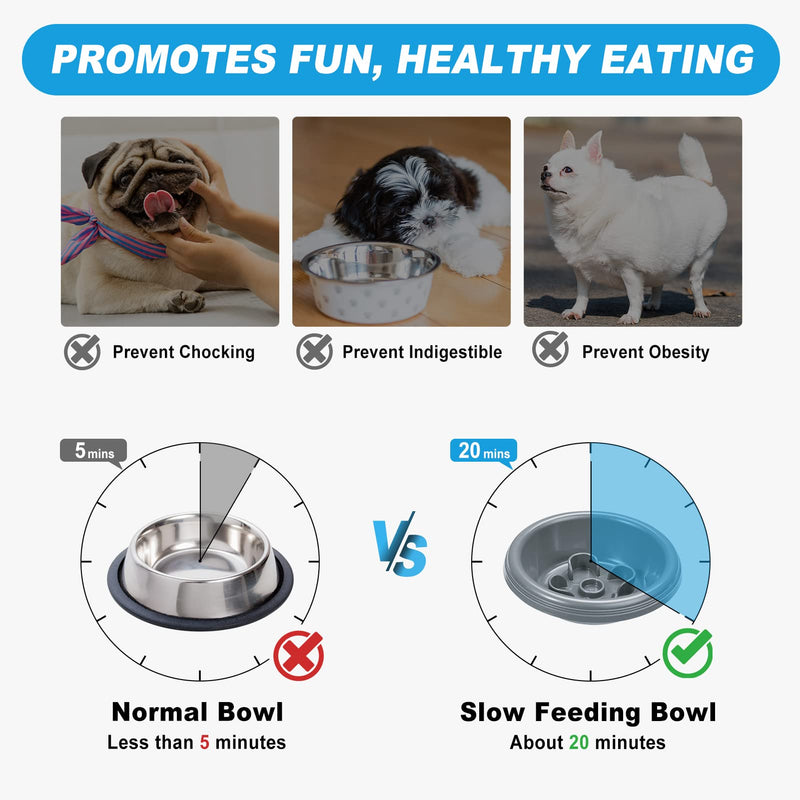 BurgeonNest Slow Feeder Dog Bowls Small Size,13 oz Cat Food Bowls, 4-in-1 Cat Slow Feeder with No-Spill Silicone Feeding Mat, Stainless Steel Anti Vomiting Pet Bowl Set, Perfect for Puppy, Kitten Grey