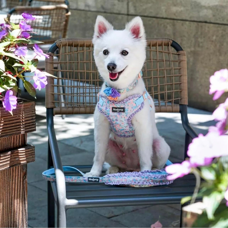 Blueberry Pet Dog Collar, Adjustable Floral Print Puppy Collar in Lavender with Removable Flower, Small 12"-16" Neck, Cute Girl Dog Accessories, Pink Dog Collars for Small Dogs, Safe Fit - PawsPlanet Australia