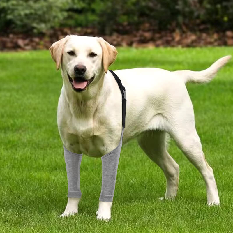 Dog Recovery Suit Front Legs, Dog Recovery Sleeve After Surgery with Elastic Band, Protective Elbow Protector for Medium Large Dogs, Dog Cone Alternative to Stop Licking Leg Wounds,Grey,L L(Sleeve Length:9.1") A-Light Grey - PawsPlanet Australia