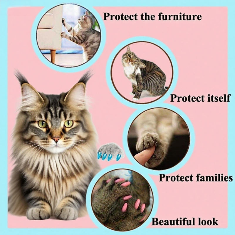 100Pcs Cat Nail Caps, 5 Colors Glitter Kitten Nail Caps with Adhesives and Applicators, Long-Lasting, Kitten Claw Caps for Medium Pets Cats Dogs, Cat Claw Caps for Protect Furniture Avoid Scratching - PawsPlanet Australia