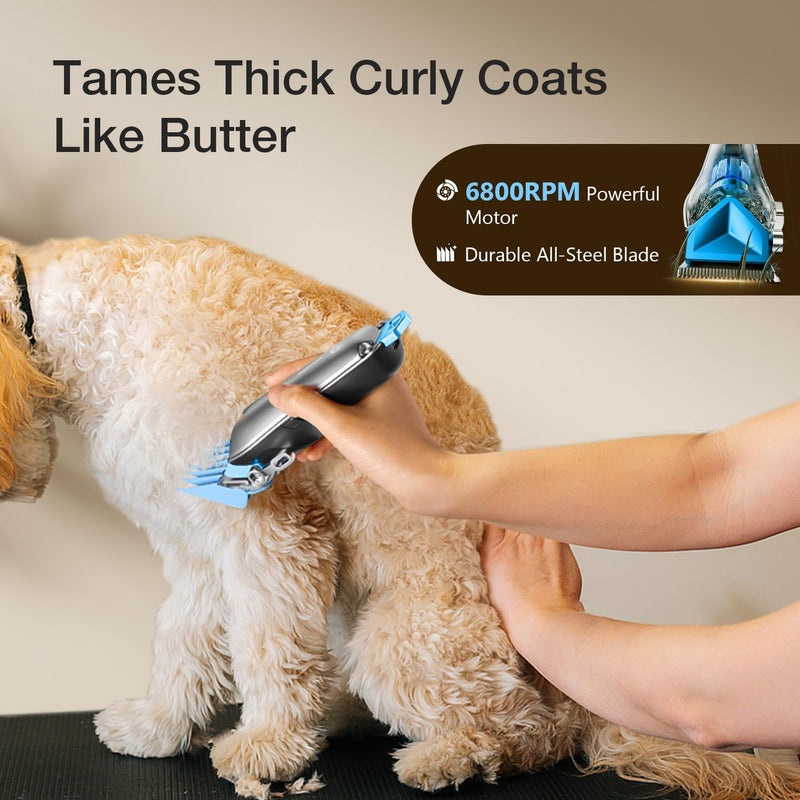 Dog Clippers for Grooming with Detachable Blade for Thick Coats, Cordless Rechargeable Low Noise Professional Pet Grooming Hair Trimmer Shaver Kit with 8 Guide Combs for Dogs Cats Animals Silver&blue - PawsPlanet Australia