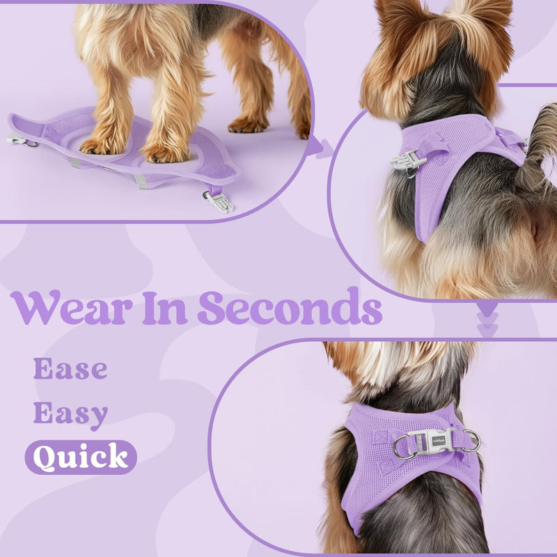 rabbitgoo Dog Harness Small Dog, Step-in Soft Mesh Puppy Harness with Reflective Strips, Lightweight Breathable Pet Vest for Walking Training, Light Purple, M