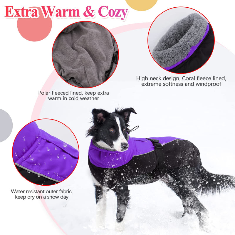 IECOii Extra Warm Dog Coat Reflective Adjustable Dog Jacket Dog Winter Coat with Buckle Fleece Turtleneck Dog Jacket for Cold Weather Soft Winter Coat for Small Medium Extra Large Dogs X-Large Purple - PawsPlanet Australia
