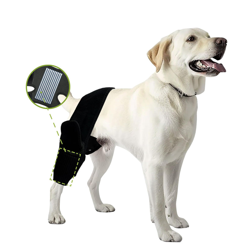 Dog Leg Braces for Back Leg- Dog ACL Brace for Torn and Back Hind Rear Legs ACL Tear, Dog Leg Brace for Hip Dysplasia, Dog Arthritis, Luxating Patella(Size L)