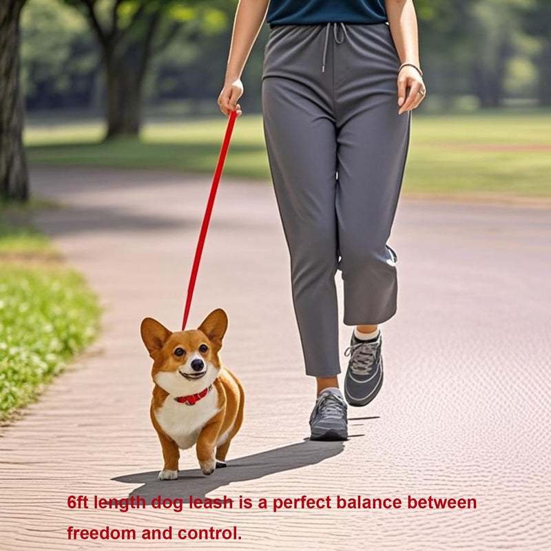 6 FT Puppy Leashes, Strong Traditional Style Leash with Easy to Use Collar Hook,Dog Lead Great for Small and Medium and Large Dog (Rainbow, 5/8 in x 6 ft) Rainbow - PawsPlanet Australia