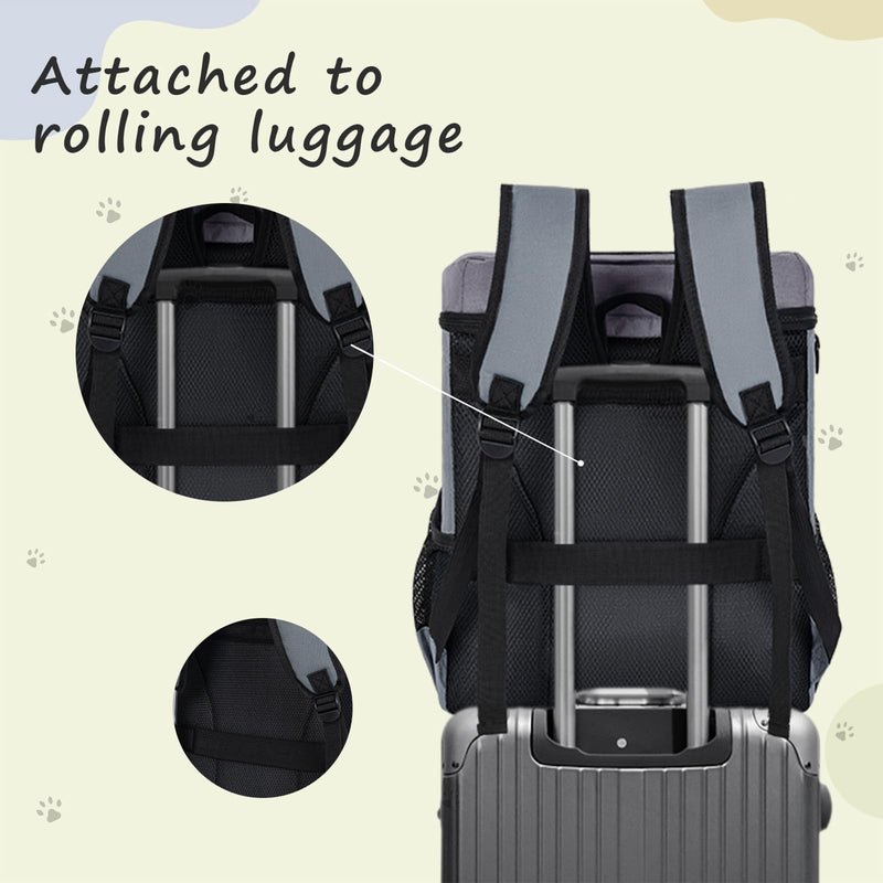 ANILD Dog Travel Backpack - Airline Approved Double-layer Pet Travel Bag Accessories with 2 Food Storage Bag and 2 Foldable Silicone Bowls for Hiking & Camping Dark Grey - PawsPlanet Australia