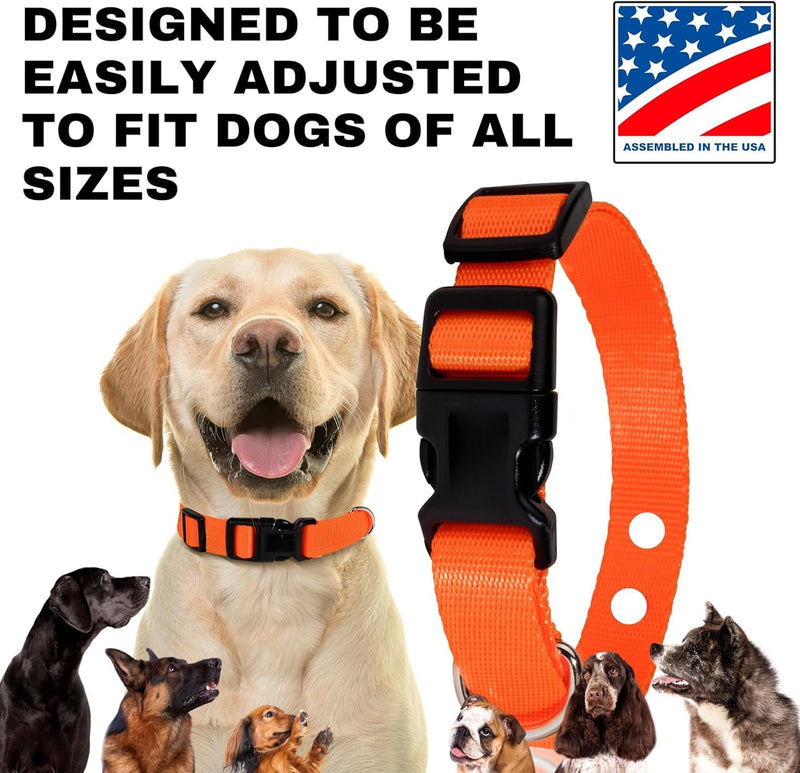 ECollar Replacement Strap, Pet Safe Collars Replacement, Shock Collar Replacement Collar, Invisible Fence Collar Replacement, Compatible with Pet Safe, Invisible Fence (Bright Blue, 3/4") 3/4" Bright Blue - PawsPlanet Australia