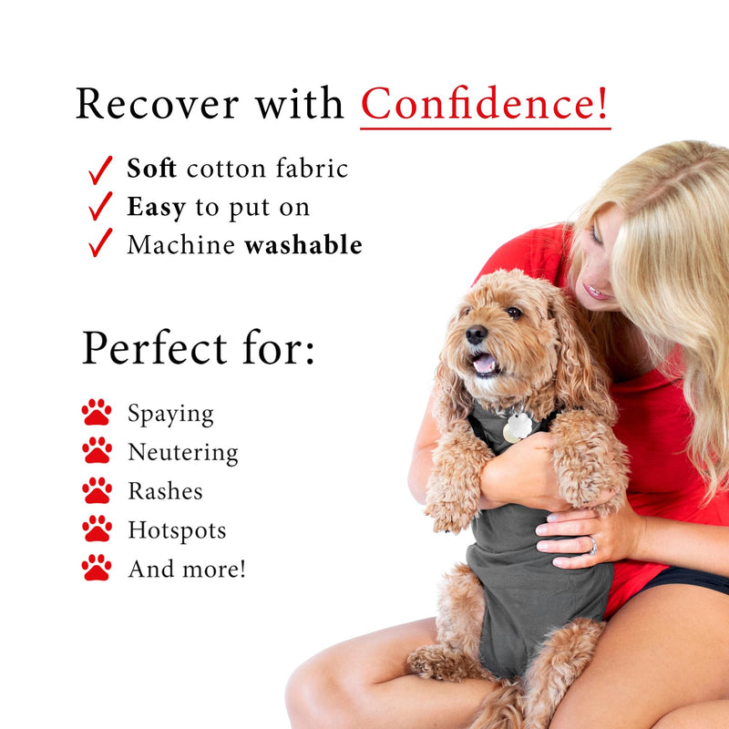 BellyGuard Recovery Suit for Dogs, After Surgery Dog Recovery Suit Female and Male, Soft Cotton Dog Surgery Suit Female Spay, Dog Surgical Recovery Suit Male Neuter, Comfy Surgical Onesie for Dogs. Large Grey - PawsPlanet Australia