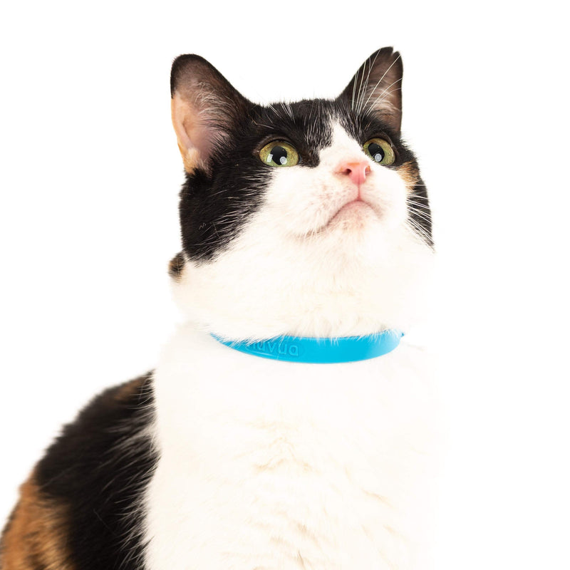 Comfortable, Soft and Light Cat Collar with Breakaway Snap Button (Blueberry Blue) Blueberry Blue - PawsPlanet Australia