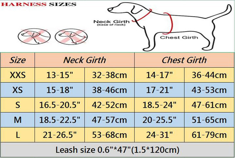 Adjustable No-Pull Dog Cat Harness Leash Set- Reflective Comfortable Control Vest Set- Soft Mesh Step-in Dog Cat Harness Leash,Grey,XS XS:Neck 15-18",Chest 17-21" Grey