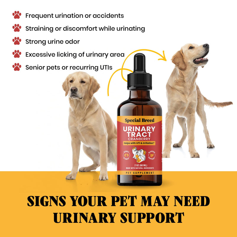 Cat & Dog Urinary Tract Infection Treatment – Natural UTI Relief with Cranberry Drops – Kidney & Bladder Support – Helps Incontinence, Frequent Urination, Bladder Stones – Pet Renal Care Drops 2oz
