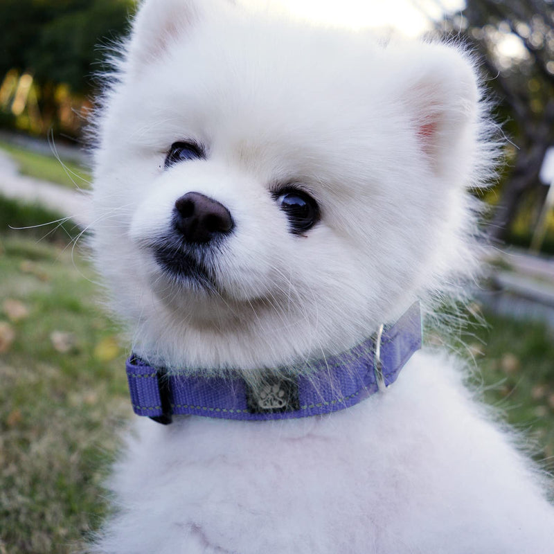 IVY&LANE Dog Harness Set Bundle Dog Collar and Leash Set | Small | Purple - PawsPlanet Australia
