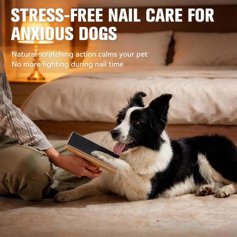 Handheld Dog Scratch Pad for Nail Grinding - Portable Dog Nail File with Curved Surface & 2 Replacement Sandpapers, Effective Grooming Tool for Dogs (M) M