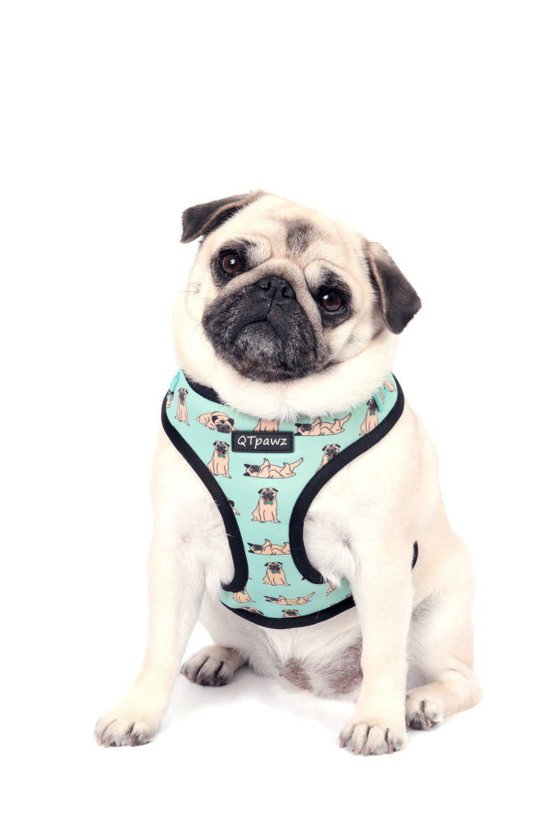 QTpawz Pug Vest Harness and Matching Leash, Breathable Mesh Interior Liner, 4 Adjusting Buckles to Get The Perfect Pug Fit (Medium) Medium - PawsPlanet Australia