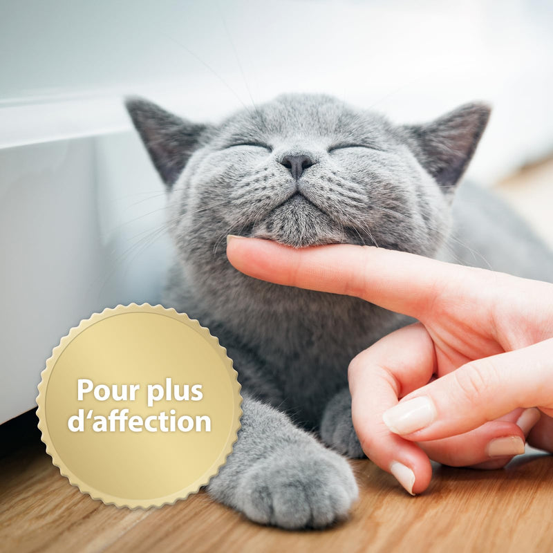 Felisept Home Comfort Diffuser Refill Bottle Enhances Well-being and Relaxation of Cats / 1 x 30ml (Pack of 2)