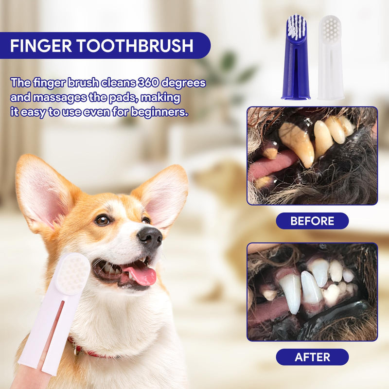 Dog Dental Care Set, Dog Toothpaste Against Tartar and Dog Toothbrush Finger Toothbrush Set, Dog Toothbrush, Dental Care for Dogs and Cats, Removes Plaque and Bad Breath (Blue) Set 2