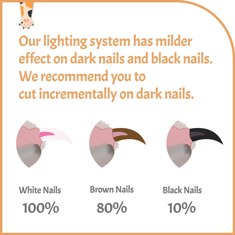 Reinvented Pet Nail Clippers for Your Pal - USB Rechargeable LED Light for Bloodline | Razor Sharp and Durable Blade | Vets Recommended Trimming Tool for Dogs and Cats Small&Medium White - PawsPlanet Australia