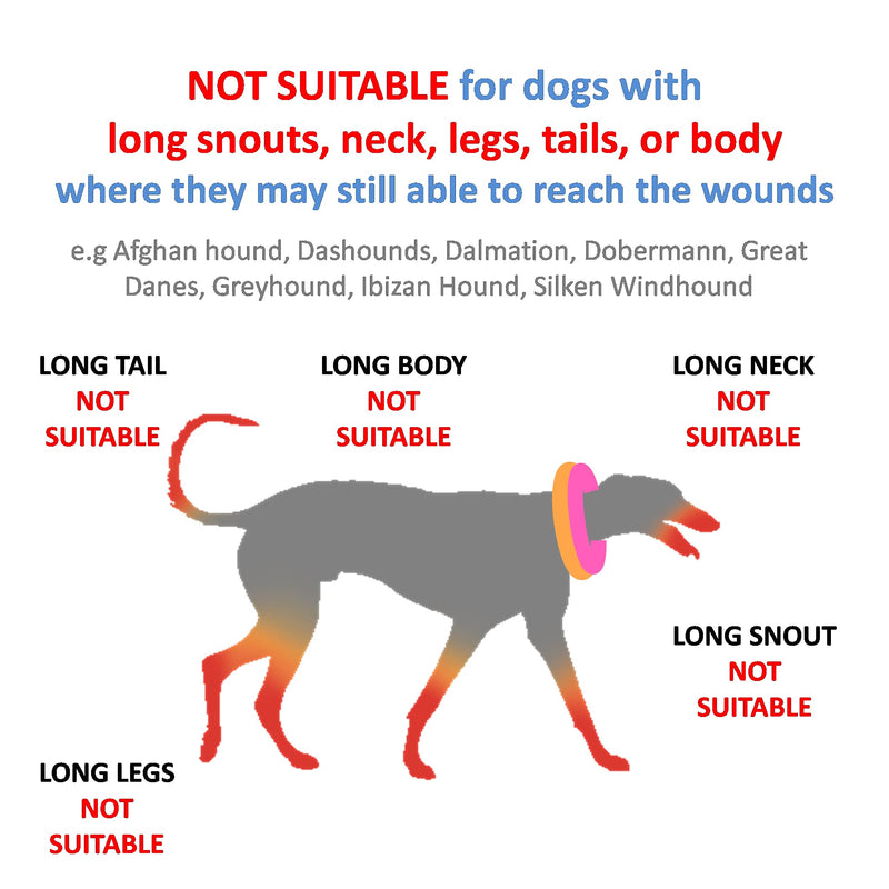 Dog Neck Donut Collar - Inflatable Dog Donut Collar for After Surgery - Elizabethan Collar for Dogs, Dog Inflatable Recovery Collar, Dog Doughnut Collar (Large Size) L (Neck 13"-15") - PawsPlanet Australia