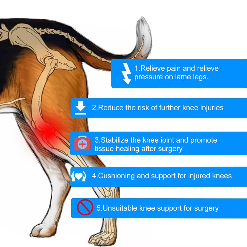 Knee Brace for Dog Torn Acl, Dog Knee Leg ACL Brace Adjustable Dog Braces for Back Leg for Support for Dog ACL CCL Recovery with Dog Leg Braces for Dog Hind Leg Reduce Pain & Muscle Sore (M) Medium - PawsPlanet Australia