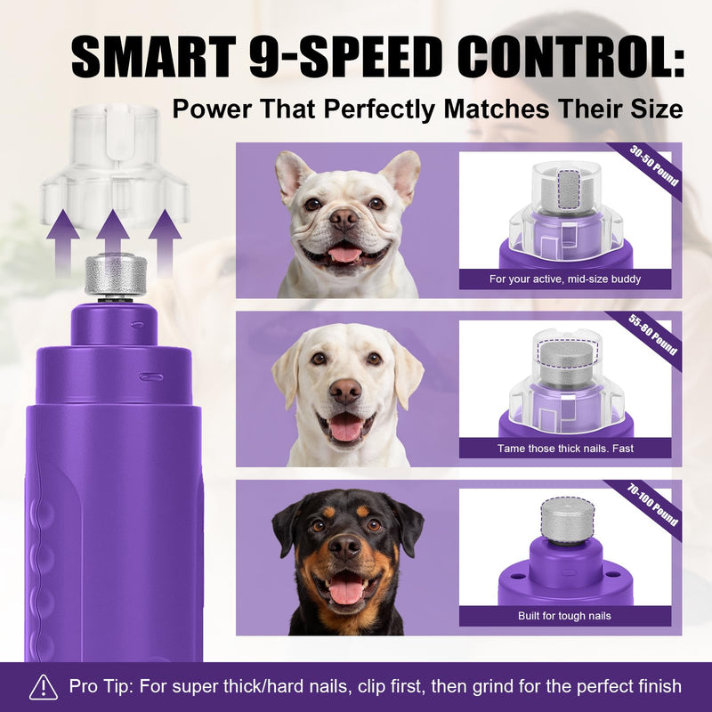 Best Dog Nail Grinder 2026 New 9-Speed Professional Quiet Painless Electric Drill Trimmers for Large Medium Dogs with Quick Sensor Guard, 2 LED Lights, 2000mAh USB Rechargeable - PawsPlanet Australia