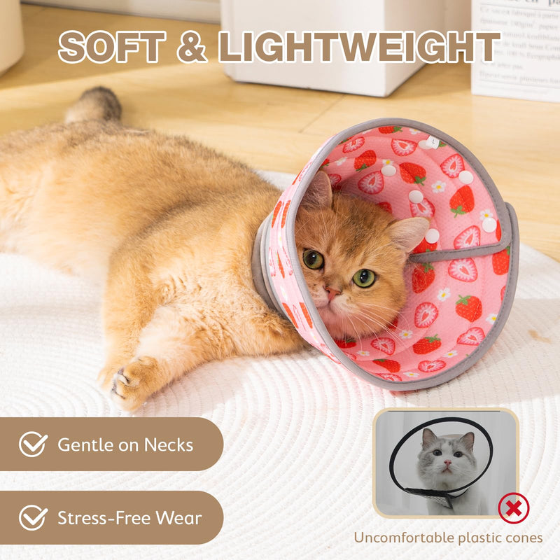 Avont Foldable Cat Cone Collar Soft to Stop Licking Bundle with Cat Recovery Suit After Surgery -M