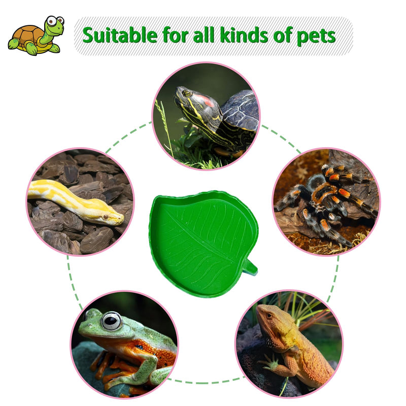 Tortoise Feeding Dish with Ramp and Basking-Platform - Leaf Tortoise Water Food Bowls, Reptile Water Dish Amphibians Habitat, Reptile Water Bowl Fit for Amphibians with Forcep Cleaning Clip Brown - PawsPlanet Australia