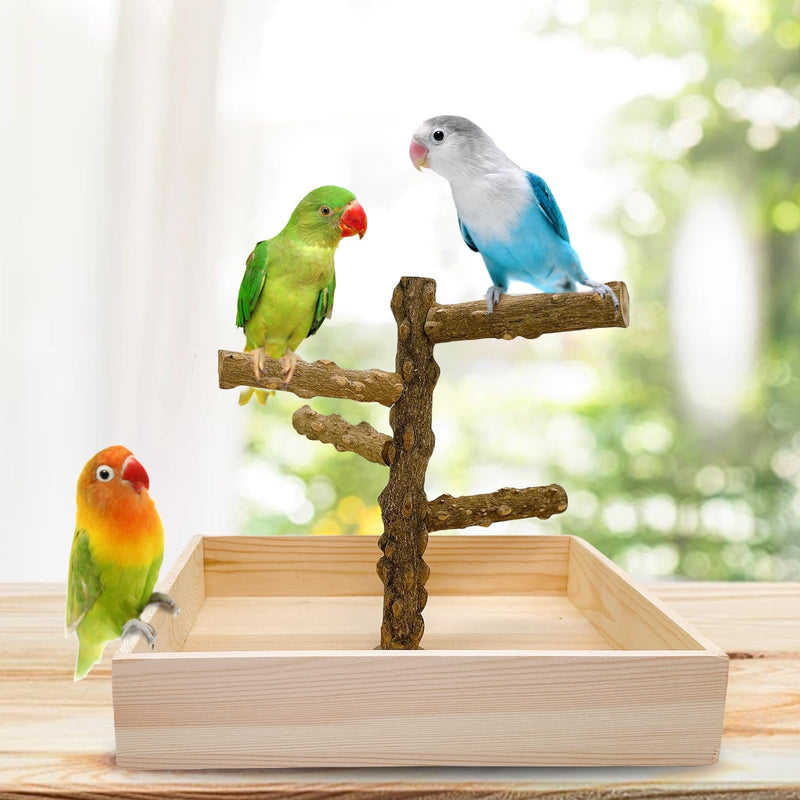 Hamiledyi Bird Perch Stand Playground Parrot Playground Tabletop Natural Wooden Perch PlayStand Platform Toys for Parrots Parakeets Lovebirds Canaries Cockatiels Conure - PawsPlanet Australia