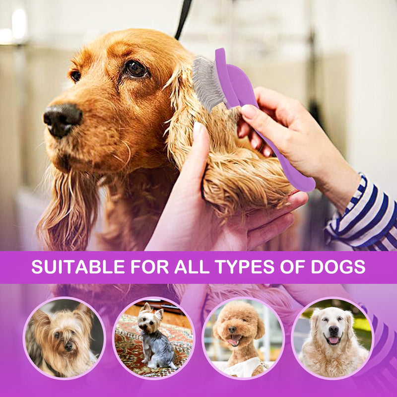 Slicker Brush for Goldendoodles, Labradoodles & Poodles - Grooming Kit for Medium & Long Haired Dogs (Purple) Purple - PawsPlanet Australia