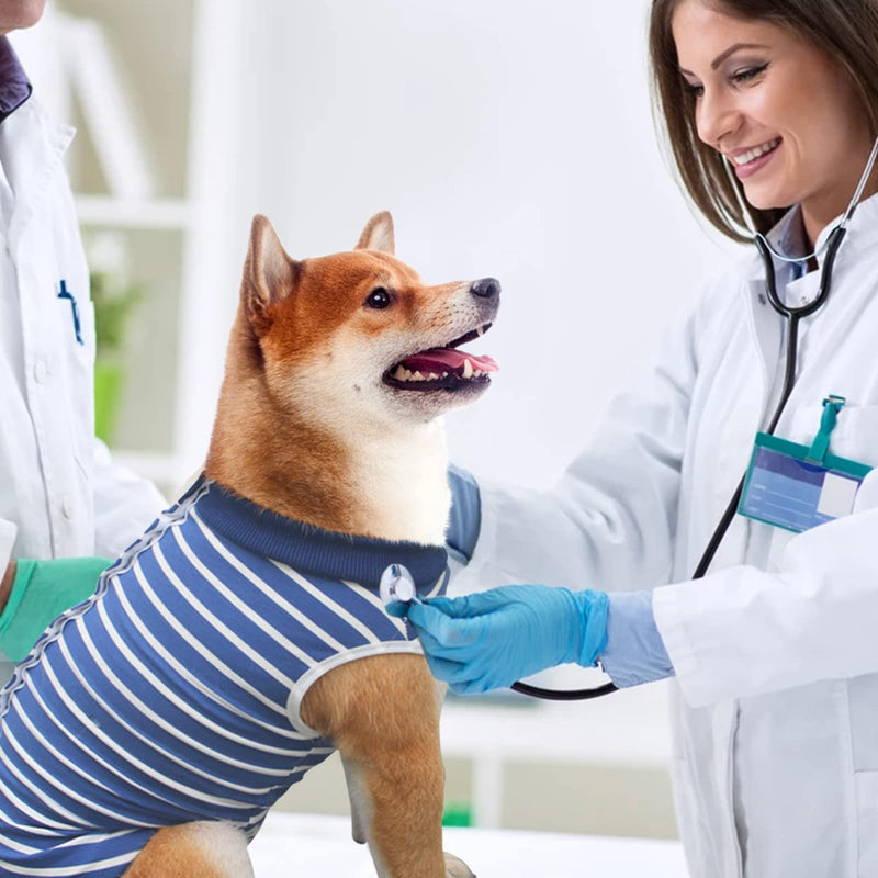 Recovery Suit for Dogs, Surgical Recovery Suit for Dogs Cats After Surgery, Cone E-Collar Alternative, Post-Operative Abdominal Wound Protector, Prevent Licking for Dogs, Males, Pets M