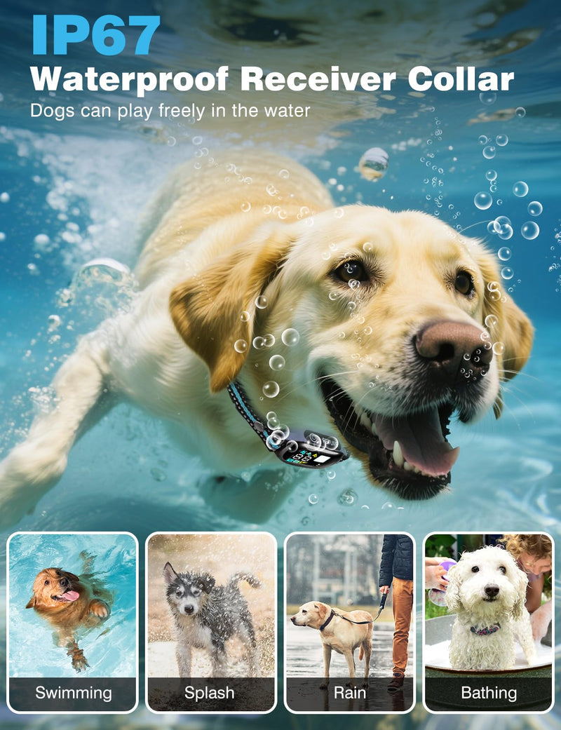 PD 513-1 Grey - PawsPlanet Australia