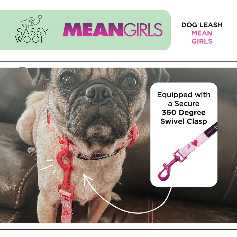 Sassy Woof Mean Girls Dog Leash 60-Inch with Neoprene Padded Handle - Comfortable, Durable, and Stylish for Small to Large Dogs - PawsPlanet Australia