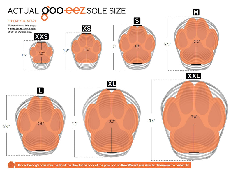 Goo-eez Lites - Black (L) L