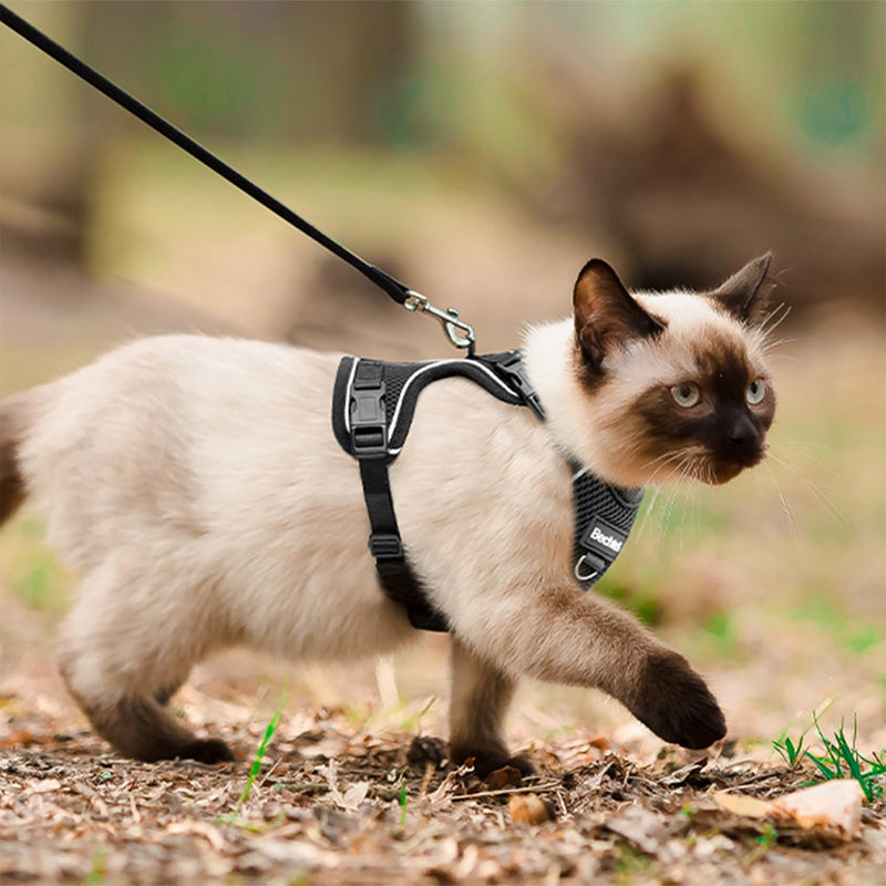 Cat Harness, Cat Harness and Leash for Walking, Adjusted in Four Directions and Breathable Cat Harness for Anti Escape That can be Fitted and Positioned, Reflective Strips Harness, Black, S Small (7-12lb) - PawsPlanet Australia