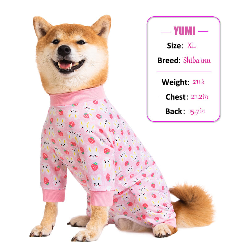 Dog Recovery Suit for Small Medium Large Dogs, Pet Onesie After Surgery Comfort Dog Bodysuit Anti Licking (Medium, Pink Bunny) - PawsPlanet Australia