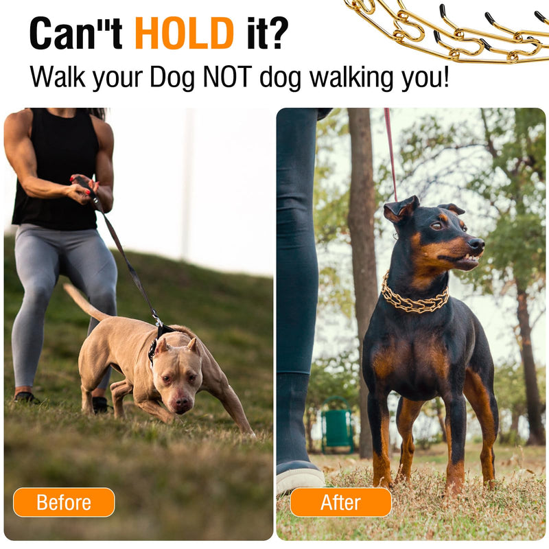 Dog Pinch Collar Stainless Steel,Gold Prong Dog Training Collar,No Pull Martingale Collar Stainless Steel Metal Chain Collar,Adjustable Size Collar for Medium and Large Dogs(S, Gold) S - PawsPlanet Australia