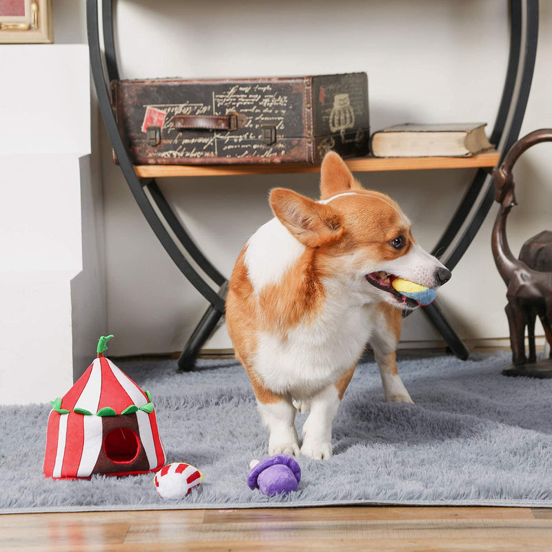 HugSmart Pet – Happy Circus |Squeaky Hide and Seek Plush Dog Toys | Cute Interactive Plush Puzzle Toys for Small/Medium Dogs - PawsPlanet Australia